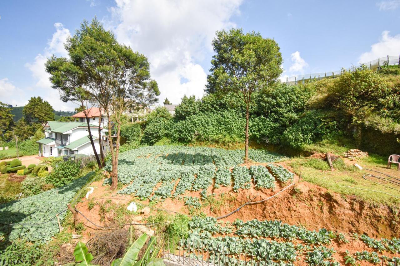 St. Anne Holiday Bunglow Nuwara Eliya Buitenkant foto